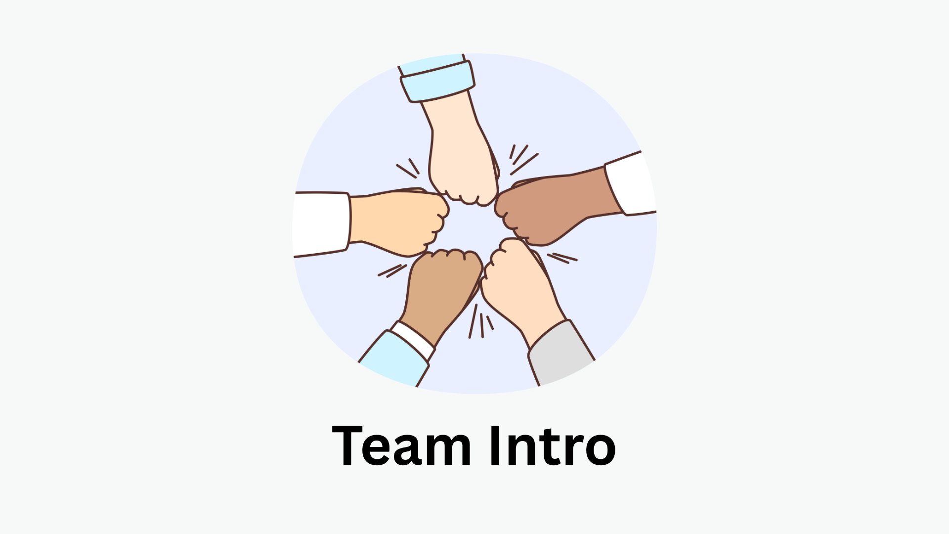 Team Introduction
